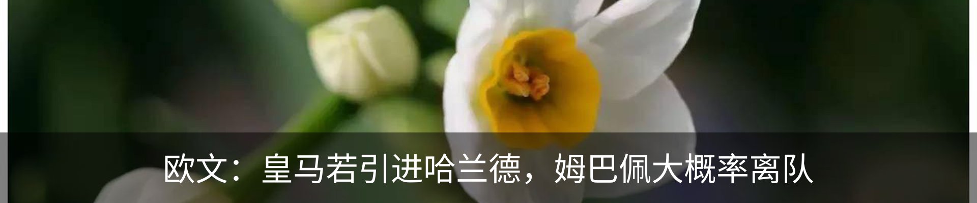 内页banner